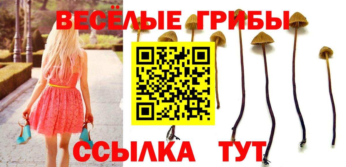 Псилоцибиновые грибы Magic Shrooms  Вход с VPN  Псилоцибиновые грибы ЛСД  Сургут 